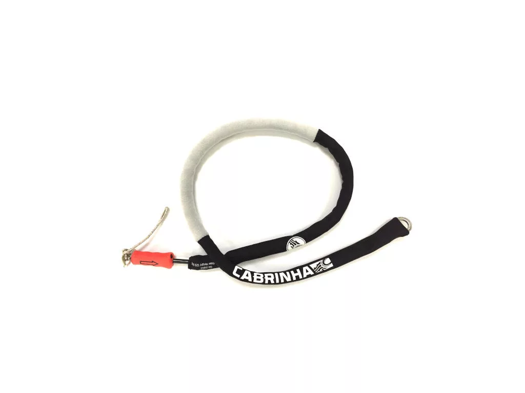 leash