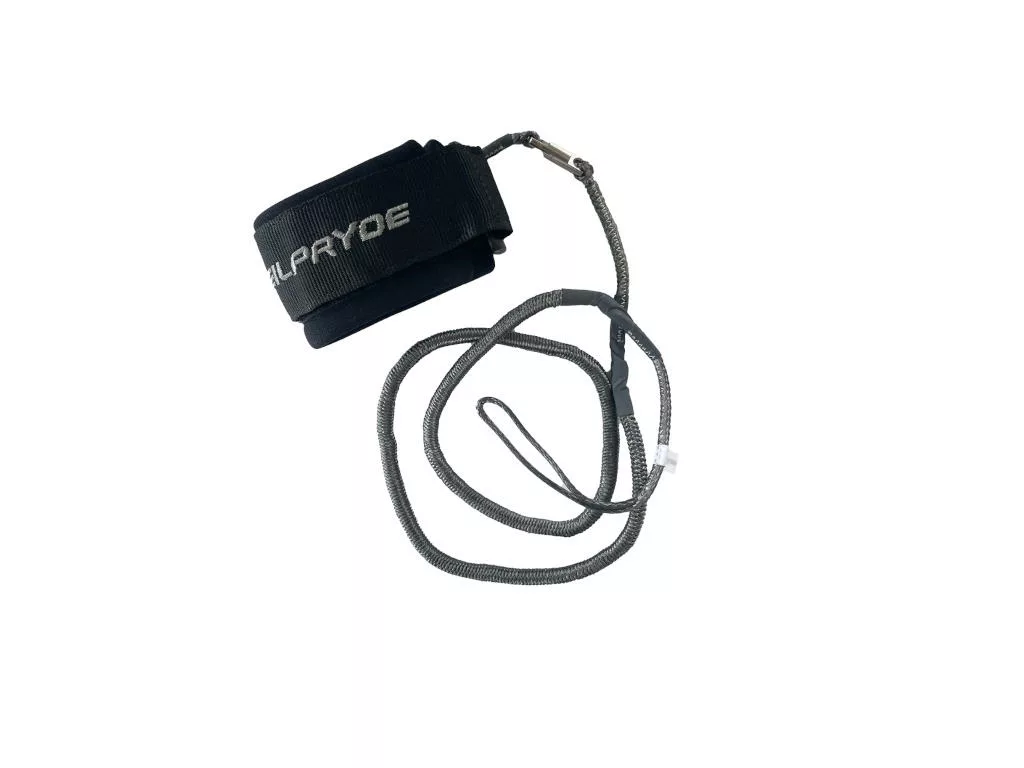 Leashes